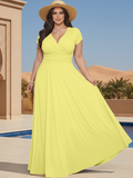 NT074 Daffodil Yellow 4